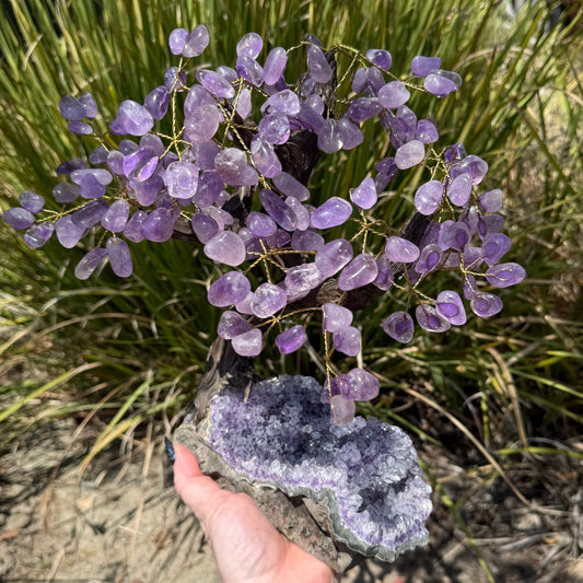 XL Amethyst Bonsai Tree- Protection, Serenity, Intuition + Peace