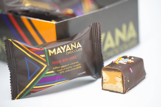 Mayana Pride Mini Bar