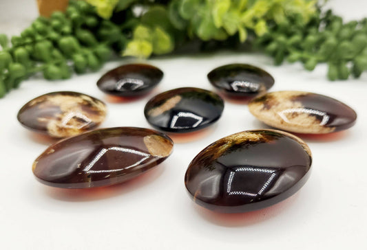 Amber Palm Stones- Pain Relief, Calming, Protection