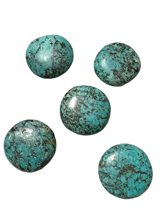 African Turquoise Palm Stones- Inner Growth, Transition, Courage, Clarity, Calming