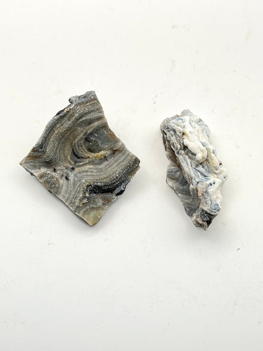 Druzy Concho Chalcedony Pieces- Nurturing, Uplifting, Calming, Emotional Support