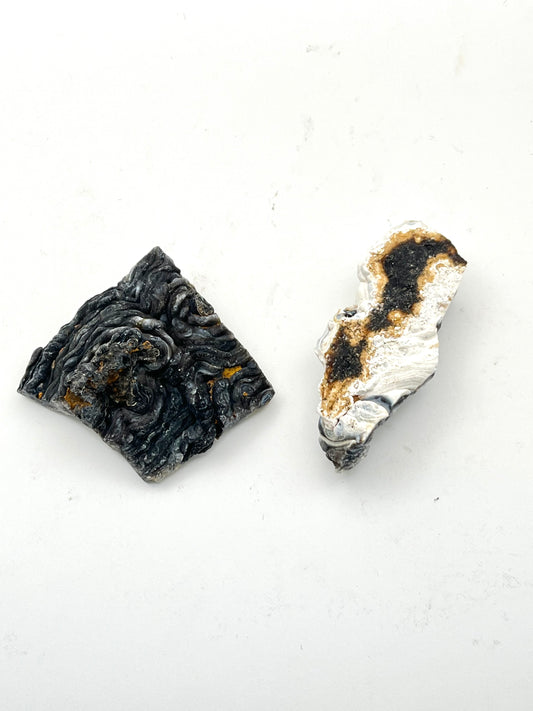 Druzy Concho Chalcedony Pieces- Nurturing, Uplifting, Calming, Emotional Support