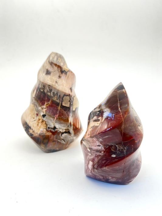 Petrified Wood Flames- Grounding, Ancient Wisdom, Patience, Healing, Past Lives
