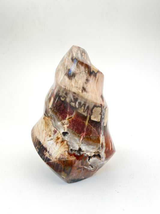 Petrified Wood Flames- Grounding, Ancient Wisdom, Patience, Healing, Past Lives