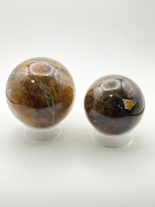 Golden Healer Spheres- Multi-Dimensional Healing, Vitality, Immune System Support, Joy