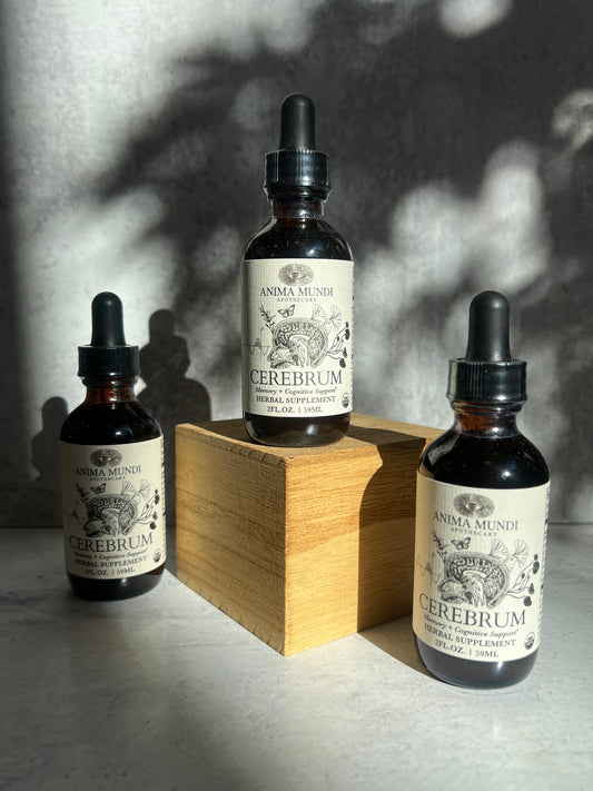 Cerebrum Tonic: Memory + Cognitive Support by Anima Mundi Apothecary