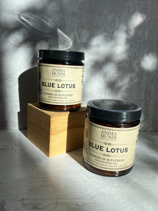 Blue Lotus: Flower of Intuition by Anima Mundi Apothecary