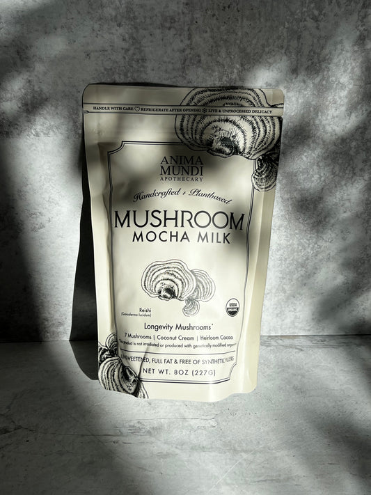 Mushroom Mocha Milk: Longevity Milk by Anima Mundi Apothecary