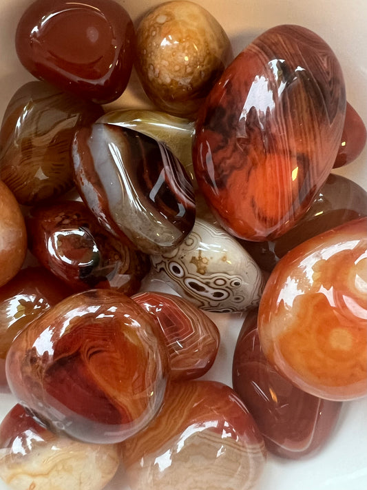 Sardonyx Tumbled Pocket Stone- Protection, Grounding, Strength, Attraction, Good Fortune