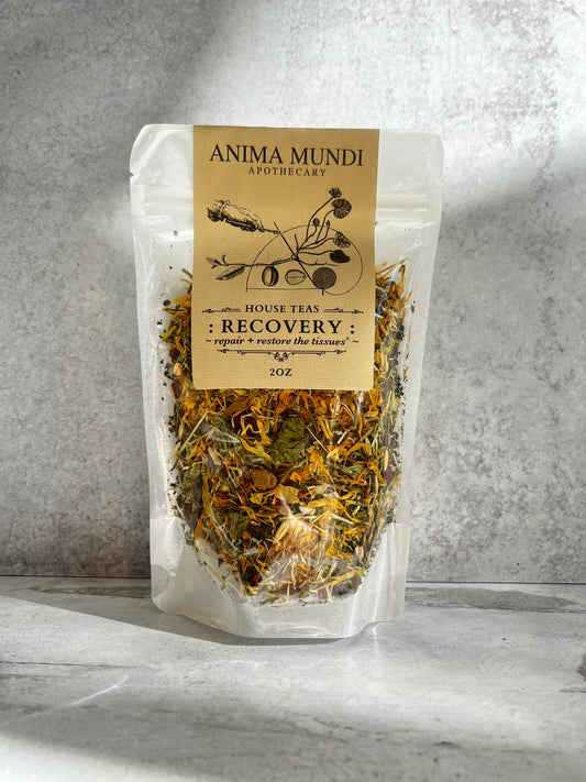 Recovery- Repair + Restore Organic House Tea by Anima Mundi