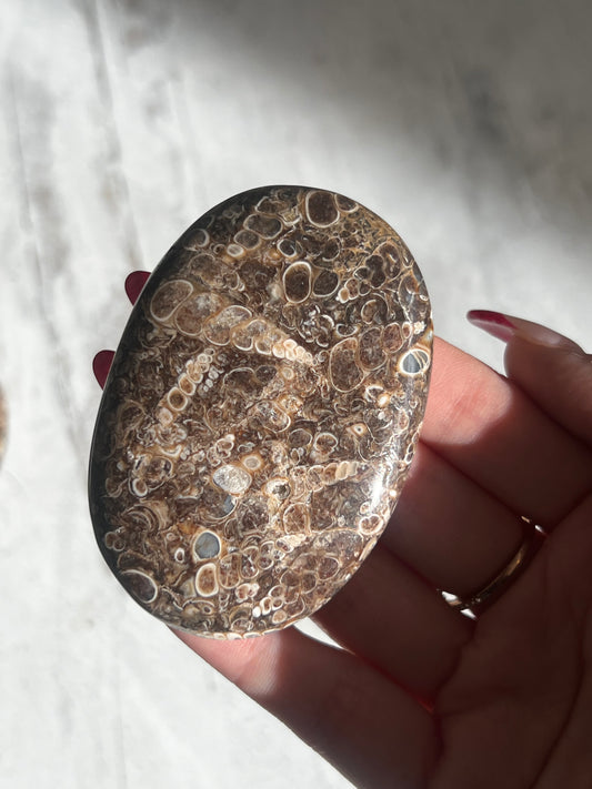 Turtella Jasper Palm Stones-  Nurturing, Grounding, Physical Healing, Protection