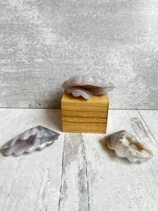 Druzy Agate Clam Shells- Grounding, Balance, Harmony, Calming
