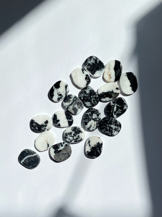 Mini Zebra Jasper Flats- Grounding, Motivation, Unity, Balance