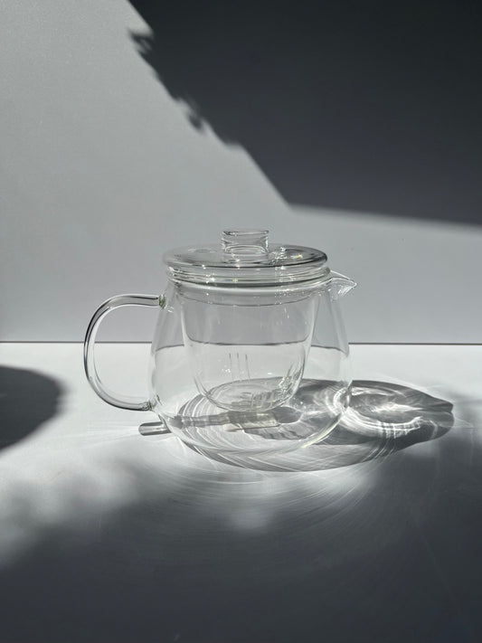 16 oz. Glass Teapot With Infuser and Lid