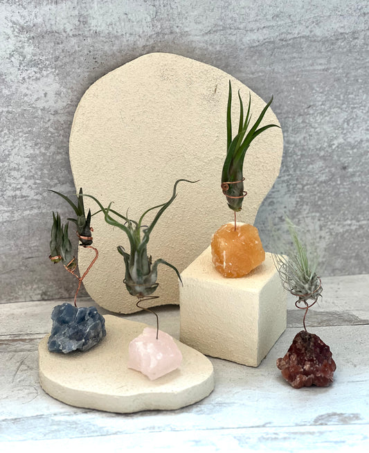Hand Crafted Wired Wrapped Air Plants on Calcite by Christina
