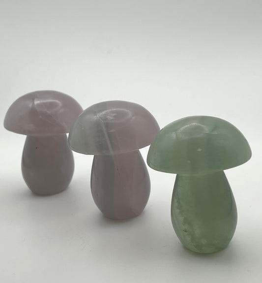 Yttrium Fluorite Mushroom Carvings- Spiritual Growth, Intuition, High Vibration