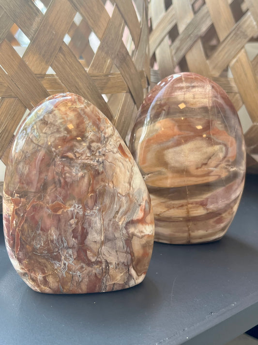 Petrified Wood Free Form - Grounding, Ancient Wisdom, Patience, Healing, Past Lives