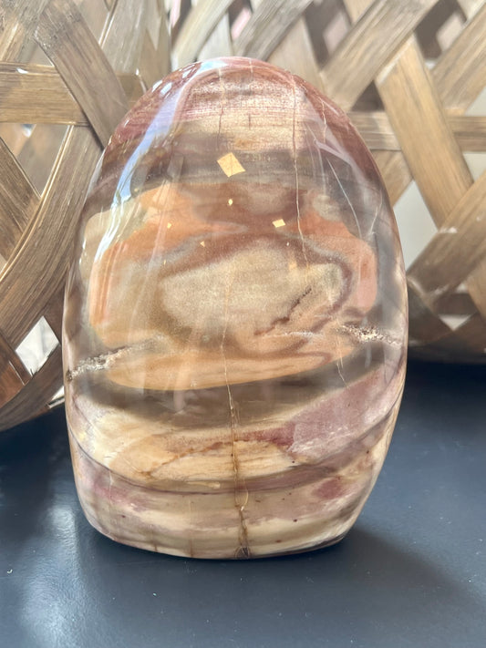 Petrified Wood Free Form - Grounding, Ancient Wisdom, Patience, Healing, Past Lives