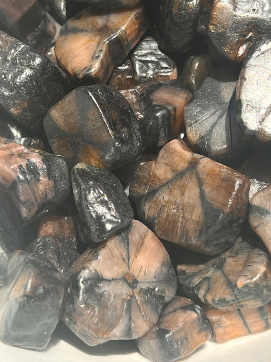 Chiastolite Tumbled Pocket Stone- Strength, Protection, Grounding, Past Life Connections