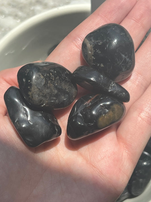 Black Onyx Tumbled Pocket Stone- Grounding, Protection, Self-Control, Willpower