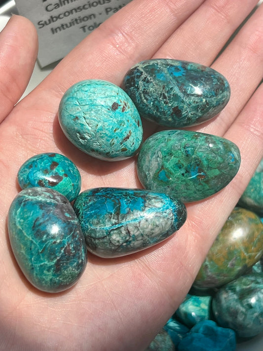 Chrysocolla Tumbled Pocket Stone- Calming, Serenity, Peace, Subconscious wisdom, Intuition, Patience, and Tolerance