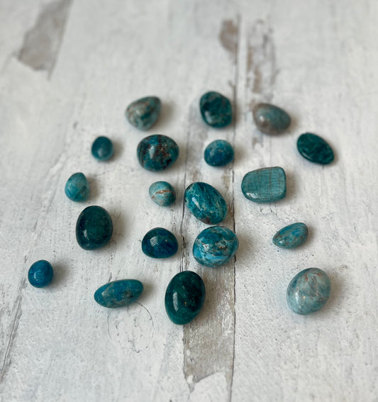 Blue Apatite Tumbles- Personal Growth, Sacred Purpose, Past Life Work, Intellect, Intuition