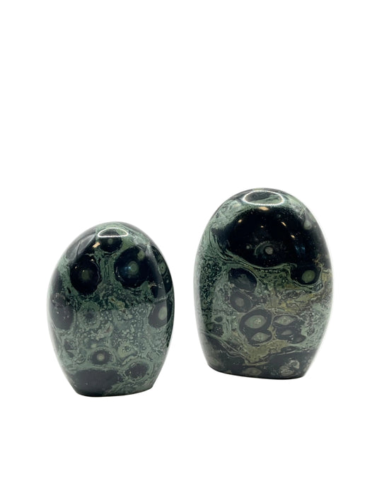 Kambaba Jasper Freeforms- Fertility, Tranquility, Peace, Grounding