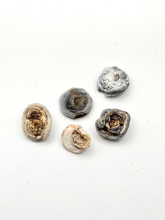 Mini Druzy Galaxy Chalcedony- Uplifting, Cosmic Connection, Intuition Boosting, Calming