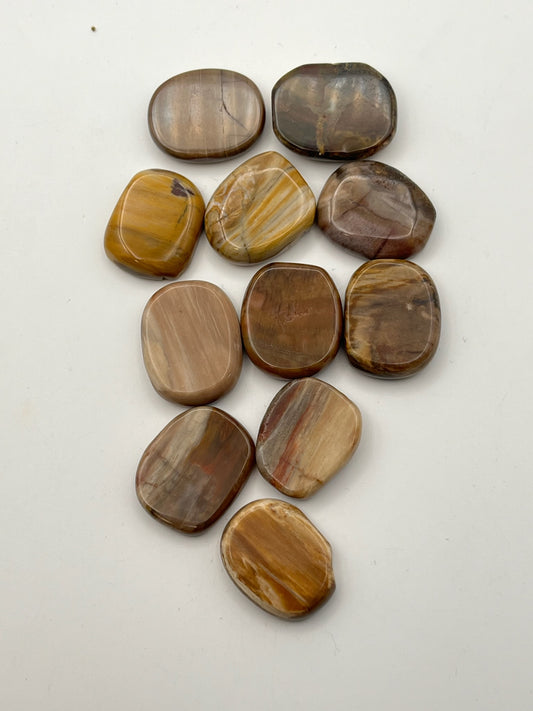 Mini Petrified Wood Flats- Grounding, Ancient Wisdom, Patience, Healing, Past Lives