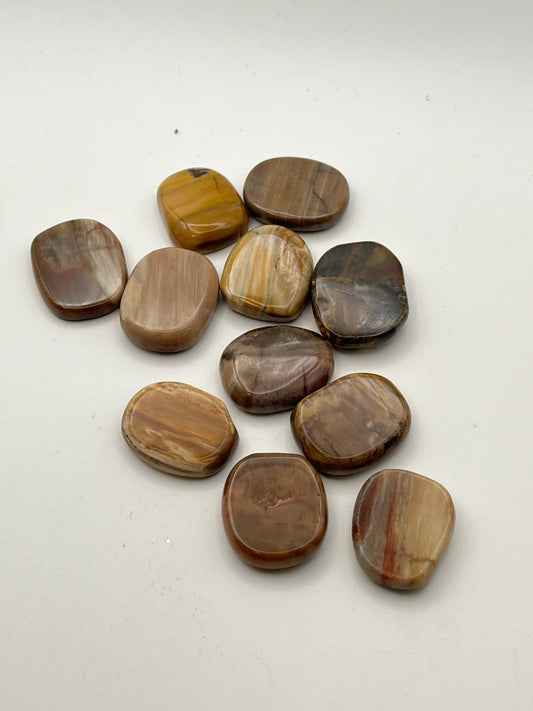 Mini Petrified Wood Flats- Grounding, Ancient Wisdom, Patience, Healing, Past Lives
