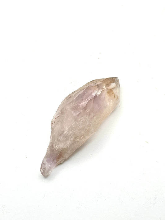 Rare Raw Amethyst Tooth with Powellite Inclusions- High Vibrational Energy, Intuition Boosting, Transformation, Spiritual Growth