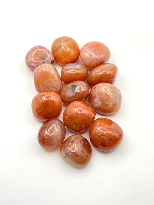 Snakeskin Agate Tumbles- Renewal, Resilience, Transformation, Adaptability