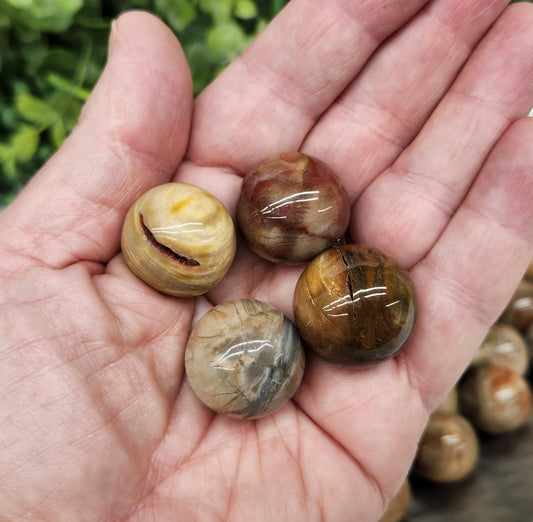 Petrified Wood Mini Spheres- Grounding, Ancient Wisdom, Patience, Healing, Past Lives