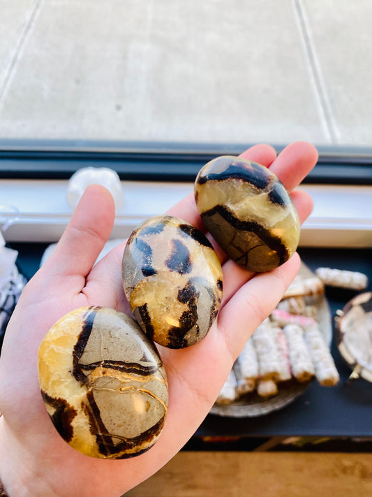 Septarian Palm Stone- Confidence, Patience, Root Chakra, Grounding, Healing