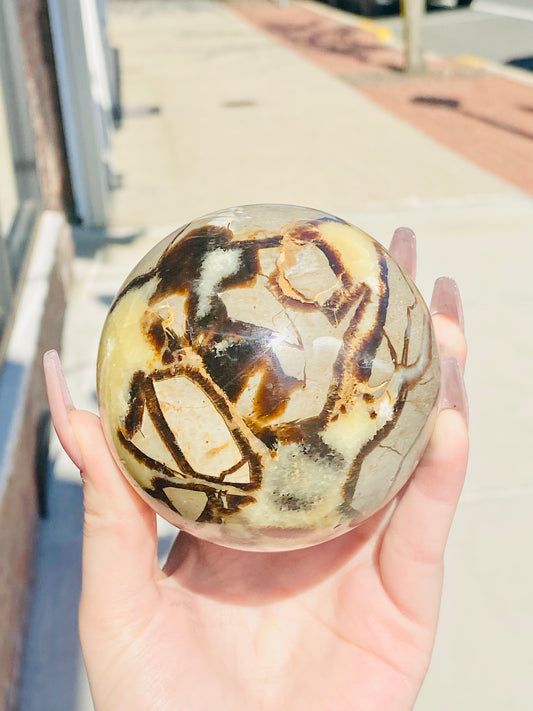 Septarian Sphere- Confidence, Patience, Root Chakra, Grounding, Healing